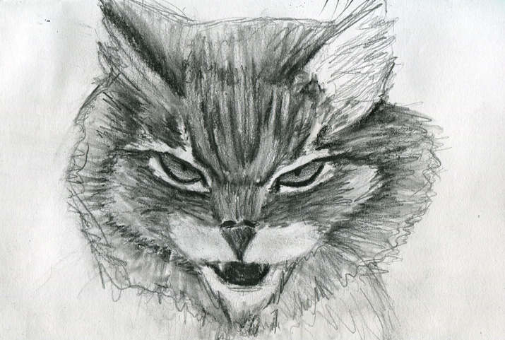 Drawing 049 – Evil Kitty – THE B-ROLL