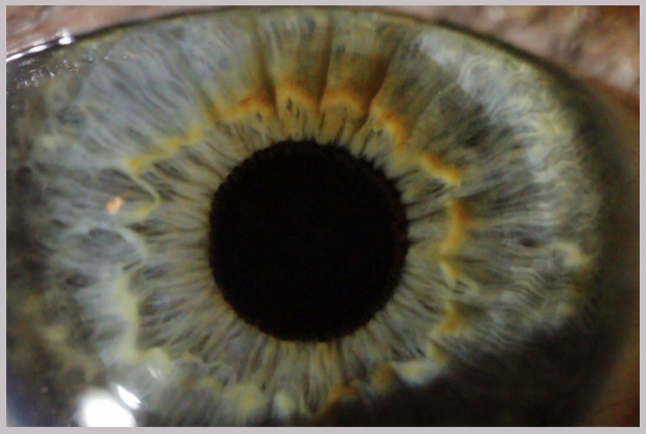 Day 265 / Cutting The Eyes