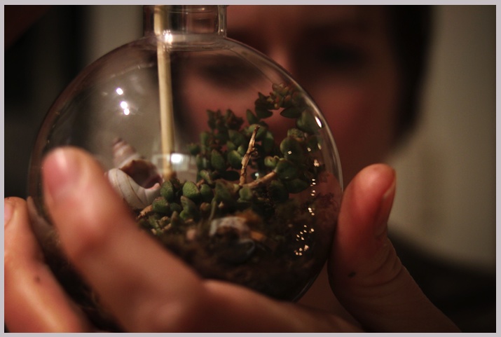 Day 281 / Terrarium Ornaments