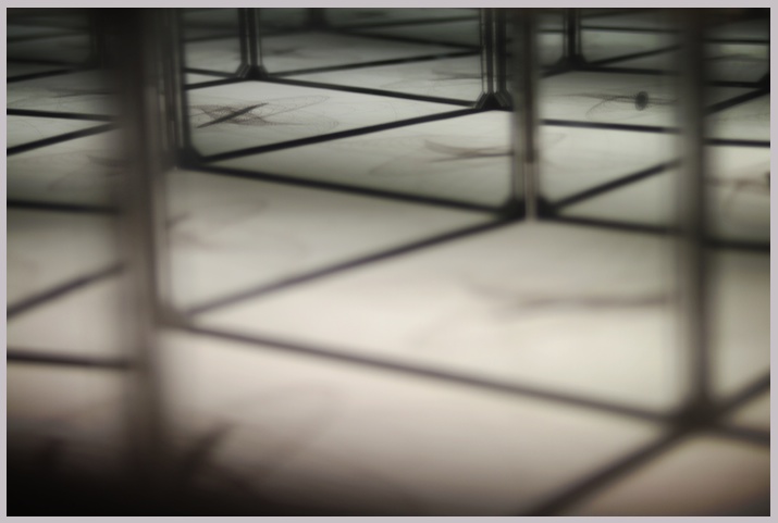 Day 282 / Messing With Mirrors