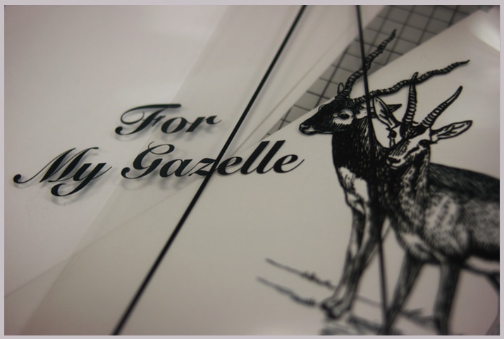 Day 291 / A Birthday Card For Jenny