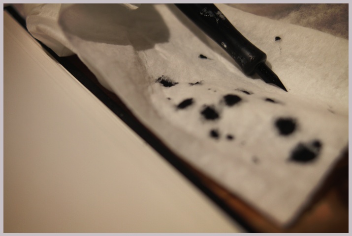 Day 307 / Getting To Know The Dip-Pen