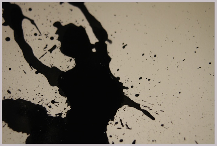 Day 312 / Black Ink Swan